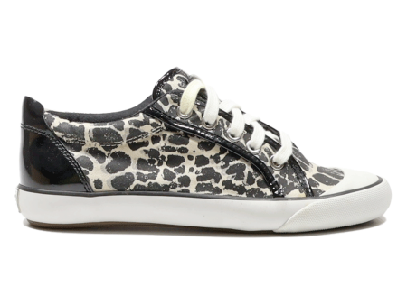 COACH Low Top Trainers Black Canvas Womens UK 6 Online now