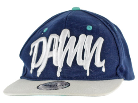 FSBN Damn Mens Snapback Cap Blue Cheap